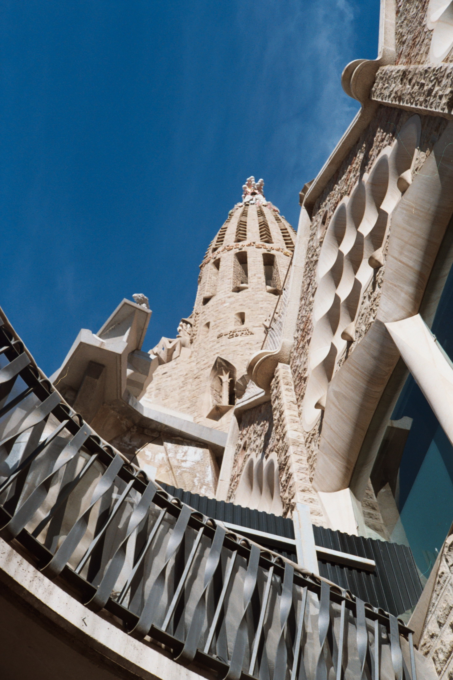Sagrada Bottom